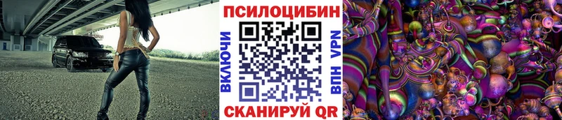 Псилоцибиновые грибы Psilocybe  Волоколамск 